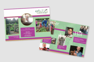 Flyer Wilde Vögel